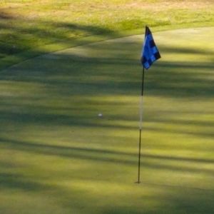 Meet your Posher, Ken